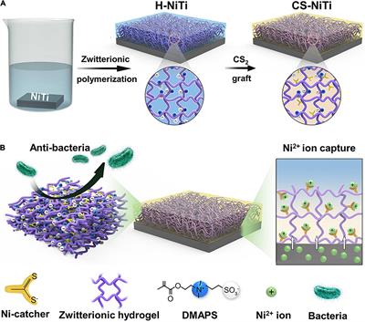 Nickel-Catcher-Doped Zwitterionic Hydrogel Coating on Nickel–Titanium Alloy Toward Capture and Detection of Nickel Ions